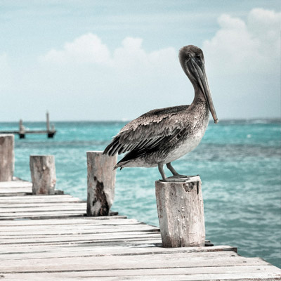 ip攻击器网页版ddos